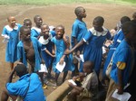 Pupils before blood collection: cliquer pour aggrandir