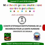 Marche citoyenne contre le paludisme: cliquer pour aggrandir